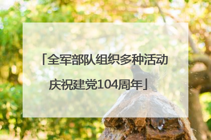 全军部队组织多种活动庆祝建党104周年