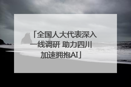 全国人大代表深入一线调研 助力四川加速拥抱AI