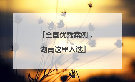 全国优秀案例，湖南这里入选