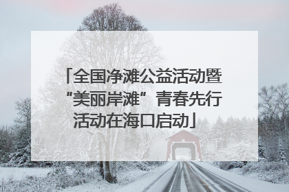 全国净滩公益活动暨“美丽岸滩”青春先行活动在海口启动