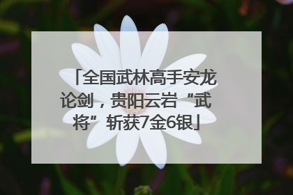 全国武林高手安龙论剑，贵阳云岩“武将”斩获7金6银