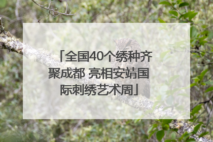 全国40个绣种齐聚成都 亮相安靖国际刺绣艺术周