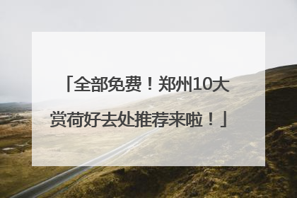 全部免费！郑州10大赏荷好去处推荐来啦！