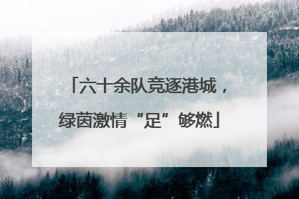 六十余队竞逐港城，绿茵激情“足”够燃