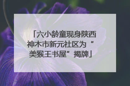 六小龄童现身陕西神木市新元社区为“美猴王书屋”揭牌