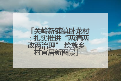关岭新铺镇卧龙村：扎实推进“两清两改两治理” 绘就乡村宜居新图景