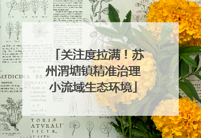 关注度拉满！苏州渭塘镇精准治理小流域生态环境