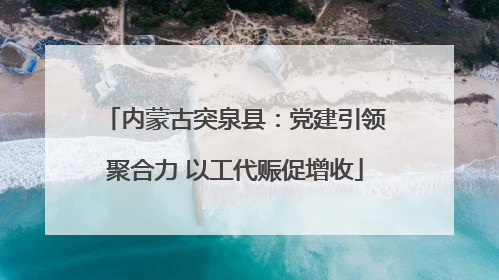 内蒙古突泉县：党建引领聚合力 以工代赈促增收