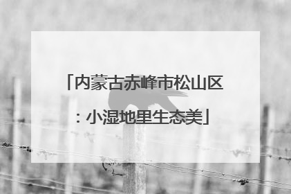 内蒙古赤峰市松山区：小湿地里生态美