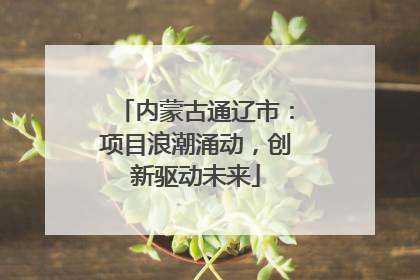内蒙古通辽市：项目浪潮涌动，创新驱动未来