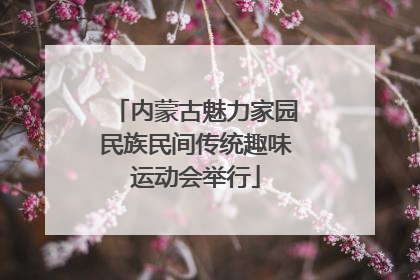 内蒙古魅力家园民族民间传统趣味运动会举行