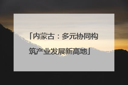 内蒙古：多元协同构筑产业发展新高地