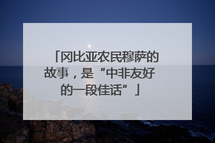冈比亚农民穆萨的故事，是“中非友好的一段佳话”