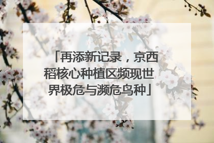 再添新记录，京西稻核心种植区频现世界极危与濒危鸟种