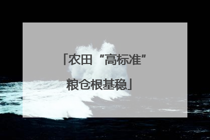 农田“高标准” 粮仓根基稳