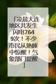 凌晨大连地区共发生闪电7649次！不少市民从熟睡中惊醒！气象部门提醒