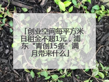 创业空间每平方米日租金不超1元，浦东“青创15条”满月带来什么