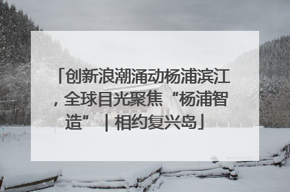 创新浪潮涌动杨浦滨江，全球目光聚焦“杨浦智造”｜相约复兴岛