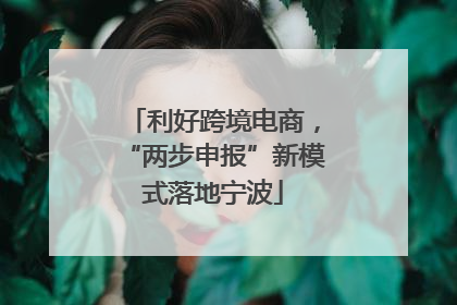 利好跨境电商，“两步申报”新模式落地宁波