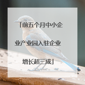 前五个月中小企业产业园入驻企业增长超三成