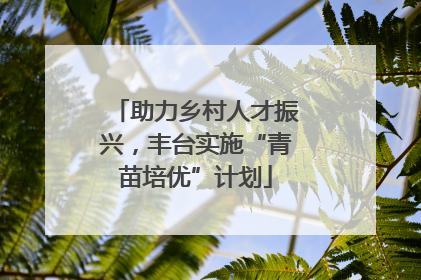 助力乡村人才振兴，丰台实施“青苗培优”计划
