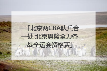 北京两CBA队兵合一处 北京男篮全力备战全运会资格赛