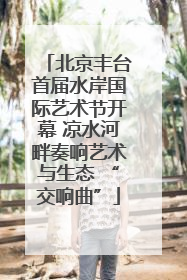北京丰台首届水岸国际艺术节开幕 凉水河畔奏响艺术与生态 “交响曲”