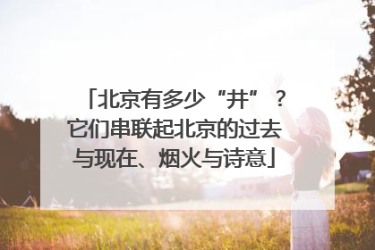 北京有多少“井”？它们串联起北京的过去与现在、烟火与诗意