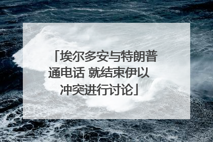 埃尔多安与特朗普通电话 就结束伊以冲突进行讨论