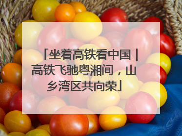 坐着高铁看中国｜高铁飞驰粤湘间，山乡湾区共向荣