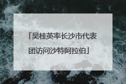 吴桂英率长沙市代表团访问沙特阿拉伯