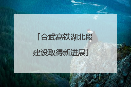 合武高铁湖北段建设取得新进展