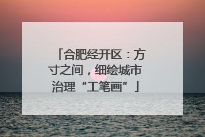 合肥经开区：方寸之间，细绘城市治理“工笔画”