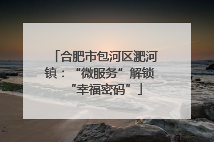 合肥市包河区淝河镇：“微服务”解锁“幸福密码”
