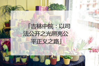 吉林中院：以司法公开之光照亮公平正义之路