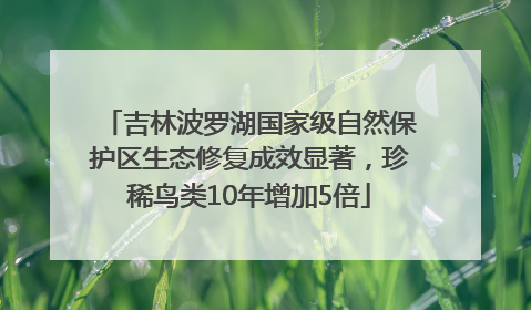 吉林波罗湖国家级自然保护区生态修复成效显著，珍稀鸟类10年增加5倍