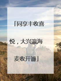 同享丰收喜悦，大兴瀛海麦收开镰