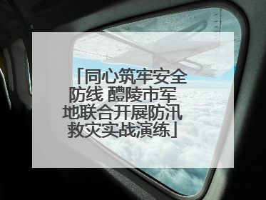 同心筑牢安全防线 醴陵市军地联合开展防汛救灾实战演练