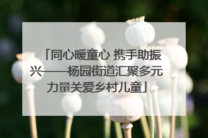 同心暖童心 携手助振兴——杨园街道汇聚多元力量关爱乡村儿童