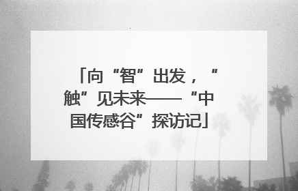 向“智”出发，“触”见未来——“中国传感谷”探访记