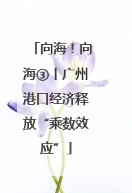 向海！向海③丨广州港口经济释放“乘数效应”