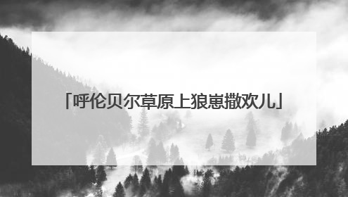 呼伦贝尔草原上狼崽撒欢儿