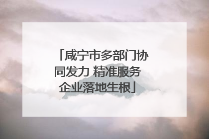 咸宁市多部门协同发力 精准服务企业落地生根