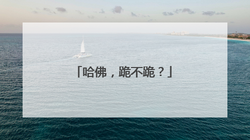 哈佛，跪不跪？
