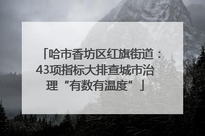 哈市香坊区红旗街道：43项指标大排查城市治理“有数有温度”
