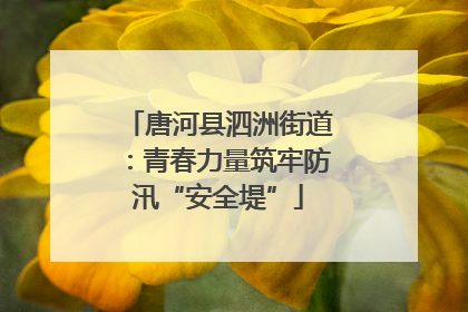 唐河县泗洲街道：青春力量筑牢防汛“安全堤”