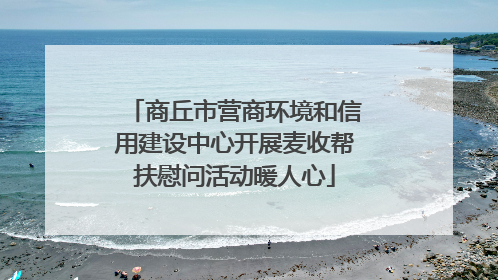 商丘市营商环境和信用建设中心开展麦收帮扶慰问活动暖人心