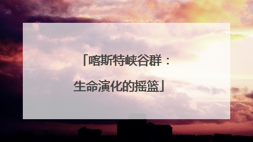喀斯特峡谷群：生命演化的摇篮
