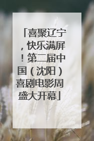 喜聚辽宁，快乐满屏！第二届中国（沈阳）喜剧电影周盛大开幕