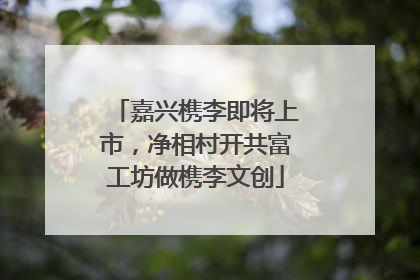 嘉兴槜李即将上市，净相村开共富工坊做槜李文创